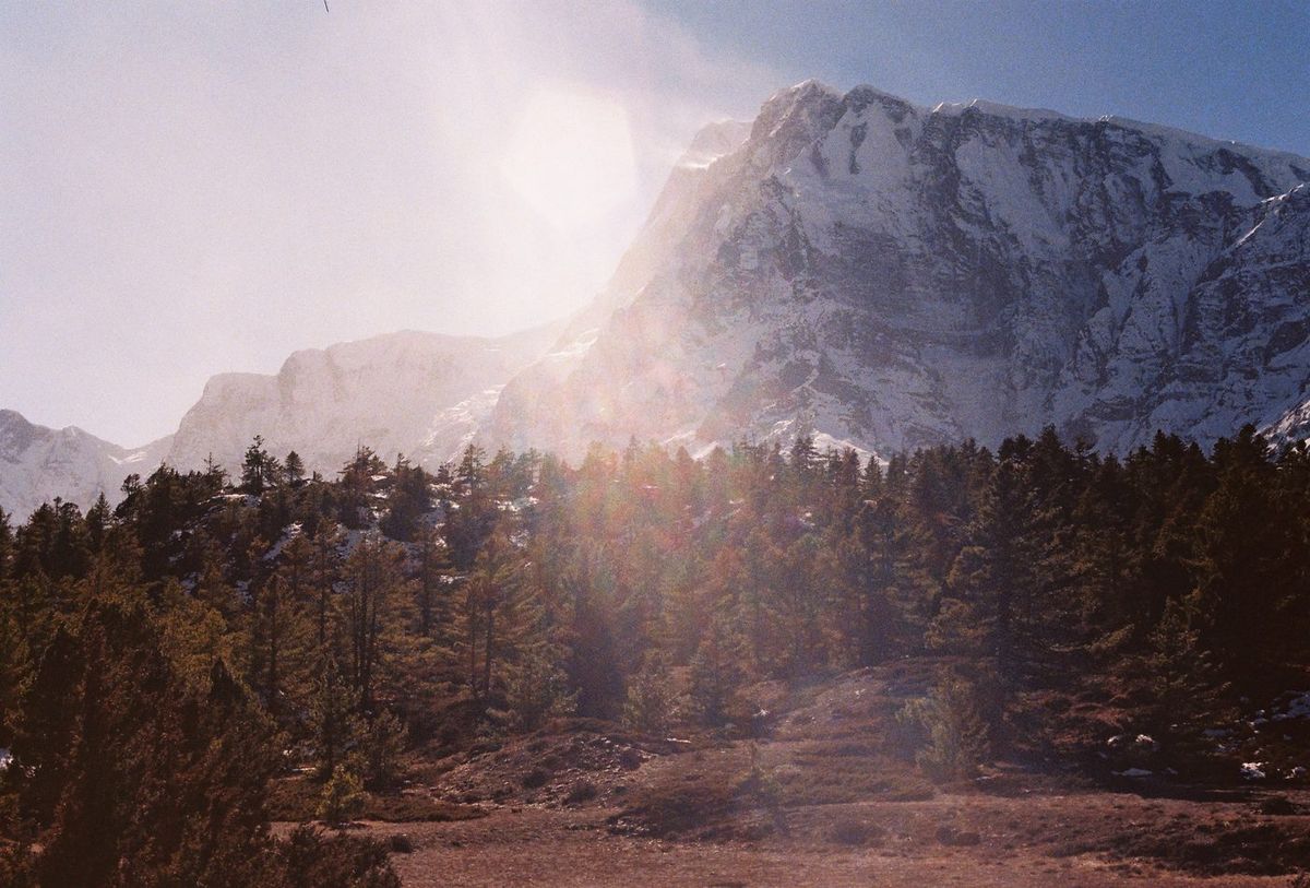 Snow peaks above a dark pine ridge in strong low sun, the light flaring across the frame.